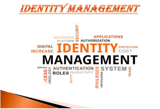 need for identity and access management solution