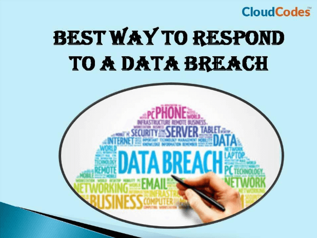 respond to a data breach