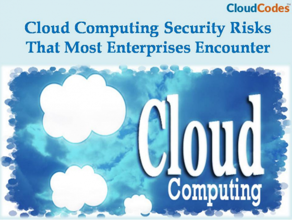 Cloud Computing Security Risks