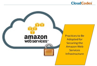 Securing the Amazon Web Services Infrastructure