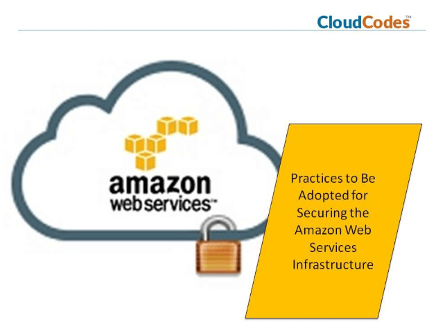Securing the Amazon Web Services Infrastructure