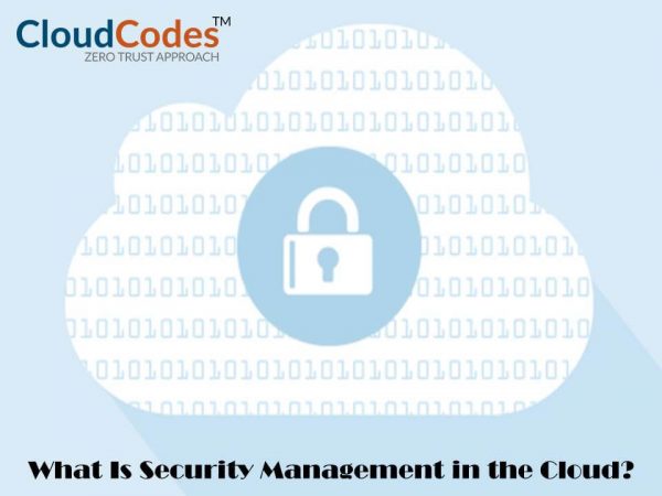 Security Management in the Cloud