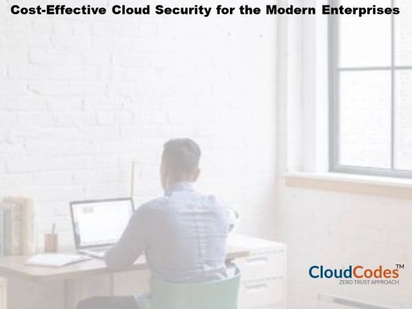 Cost-Effective Cloud Security